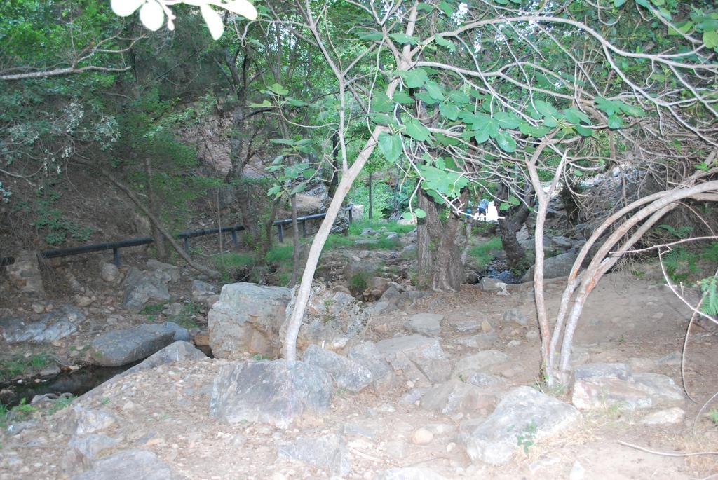 La Posada De Alcudia Brazatortas Esterno foto